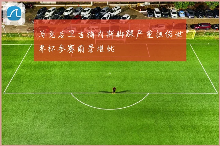 马竞后卫吉梅内斯脚踝严重扭伤世界杯参赛前景堪忧